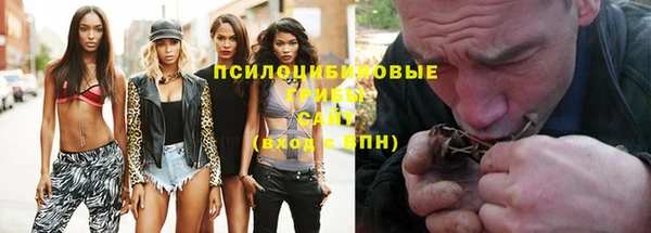 скорость Богородицк