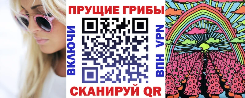 hydra   Александровское  Галлюциногенные грибы GOLDEN TEACHER 